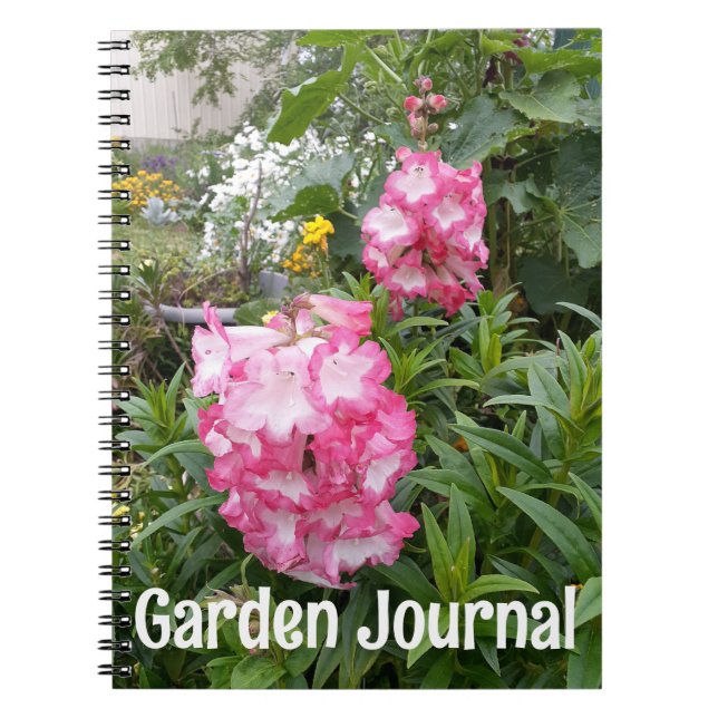 Garden Journal Pink Penstemon Spring Flowers (Front)