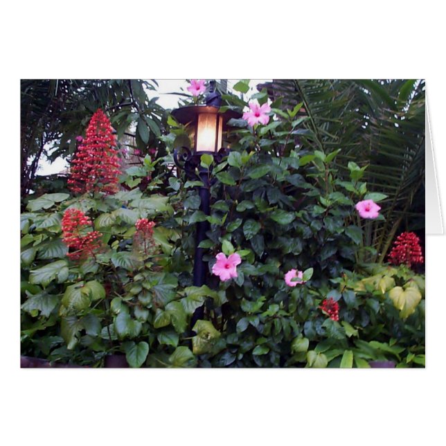 Garden Lamp (Front Horizontal)