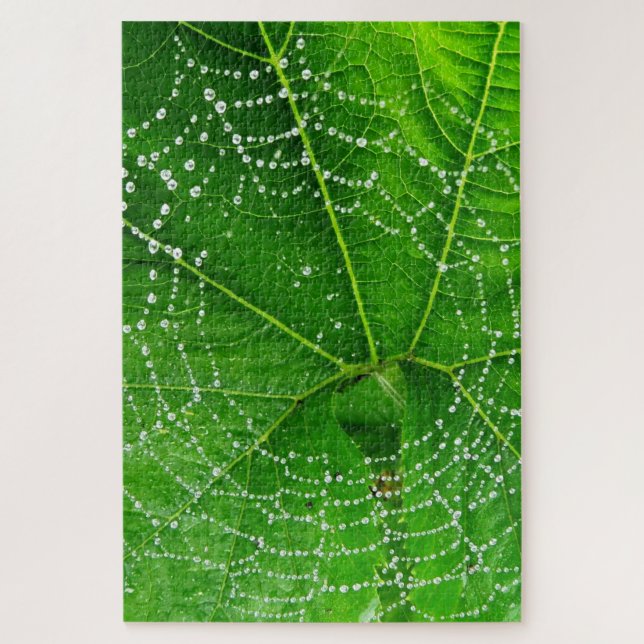 Garden Leaf Spider Web with Dew Drops Photo Design Jigsaw Puzzle (Vertical)