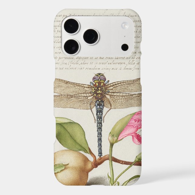 Garden life, Dragonfly, Pear, Carnation and Insect (Back)