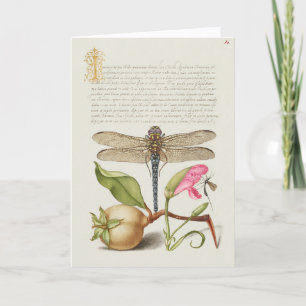 Garden life, Dragonfly, Pear, Carnation and Insect Card