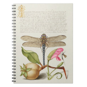 Garden life, Dragonfly, Pear, Carnation and Insect Notebook