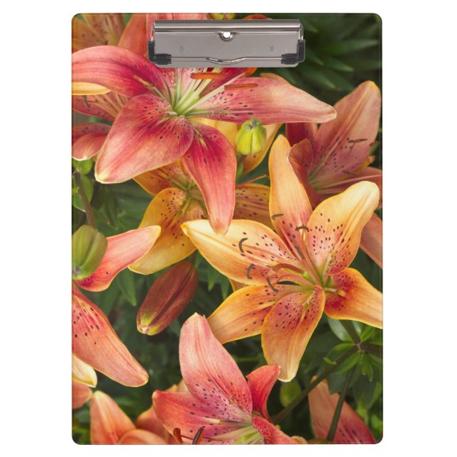 Garden Lilies Clipboard (Front)