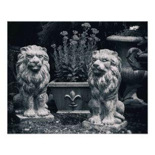 Garden Lions Photo Print