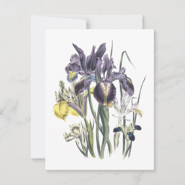 Garden Luncheon Invitation (Front)