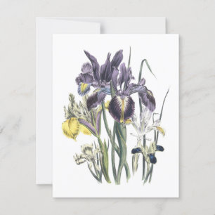 Garden Luncheon Invitation