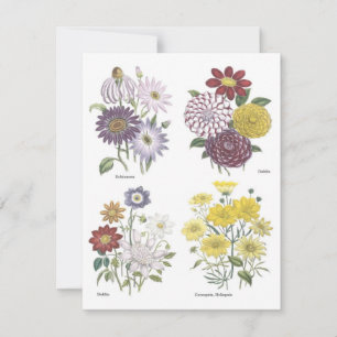 Garden Luncheon Invitation