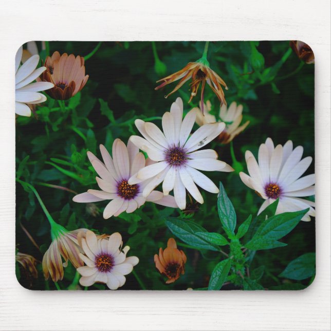 Garden Mouse Mat (Front)