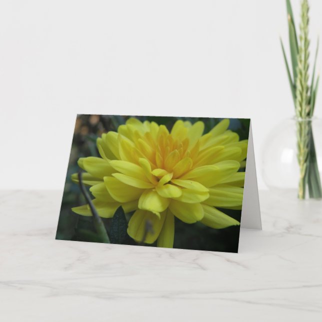 Garden Mum "Get well soon!" Card (Front)