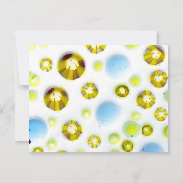 garden no. 3 (Front)