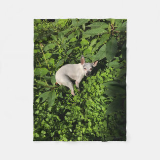 garden nymph pearl fleece blanket