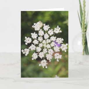 Garden O Weedin Talking Canyons, New Mexico Card