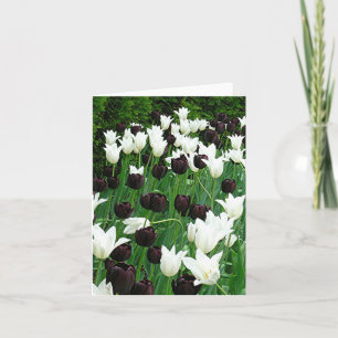 GARDEN OF BLACK AND WHITE TULIPS CARD