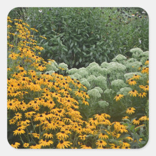 Garden Of Black-Eyed Susans Sticker
