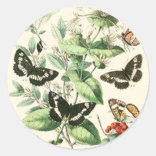 Garden of Butterflies and Flowers Classic Round Sticker