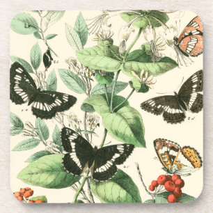 Garden of Butterflies and Flowers Coaster