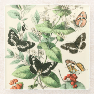 Garden of Butterflies and Flowers Glass Coaster