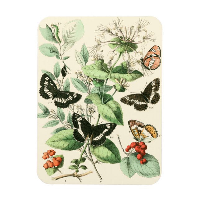 Garden of Butterflies and Flowers Magnet (Vertical)