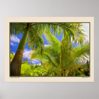 Garden of Eden - Palms - Maui Hawaii Poster
