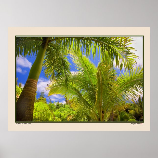 Garden of Eden - Palms - Maui Hawaii Poster (Front)