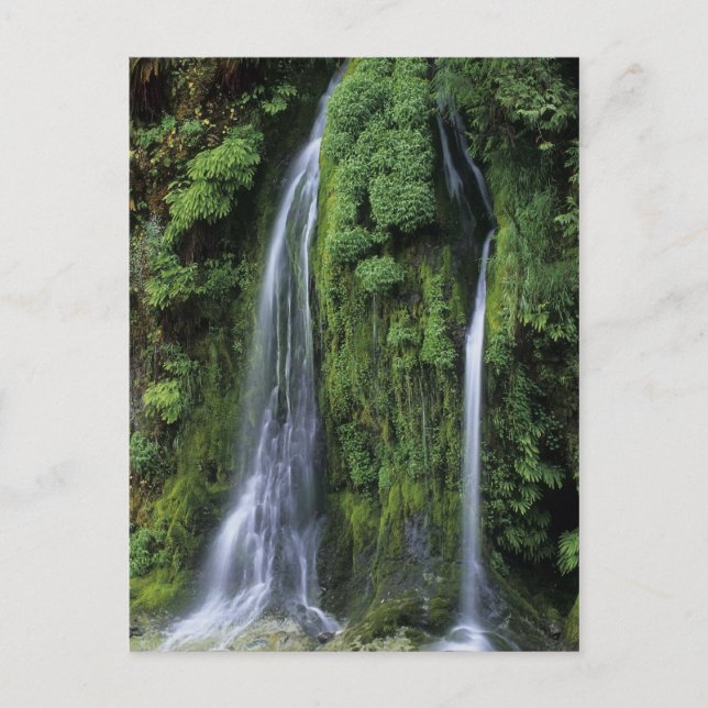 Garden of Eden Postcard (Front)