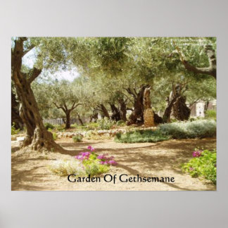 Garden Of Gethsemane Christianity Posters