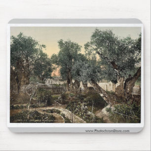 Garden of Gethsemane, Jerusalem, Holy Land classic Mouse Mat