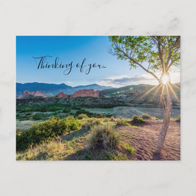 Garden Of Gods Tree Sun Thinking Of U Postcard (Front)