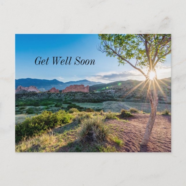 Garden Of Gods Tree Sunburst Get Well Postcard (Front)