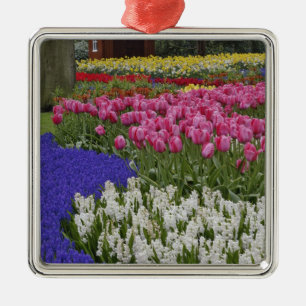 Garden of grape hyacinth, hyacinth and tulips, metal tree decoration