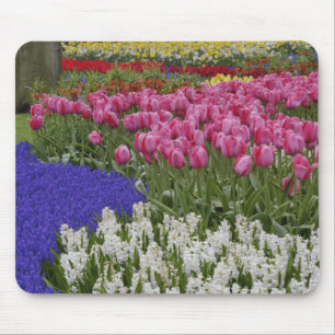 Garden of grape hyacinth, hyacinth and tulips, mouse mat