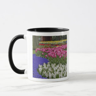 Garden of grape hyacinth, hyacinth and tulips, mug