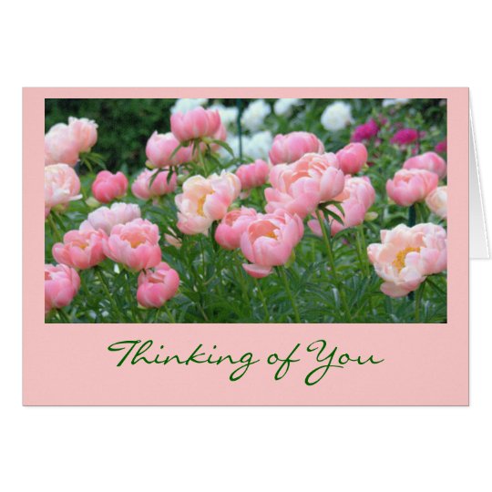 GARDEN OF PINK PEONIES CARD
