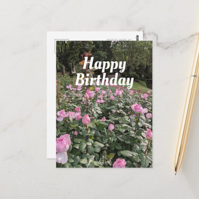 Garden of Pink Roses Birthday Wishes Postcard (Front/Back In Situ)