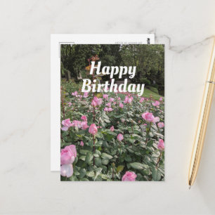 Garden of Pink Roses Birthday Wishes Postcard