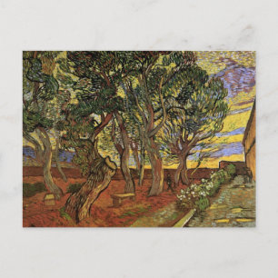 Garden of Saint-Paul Hospital by Vincent van Gogh Postcard