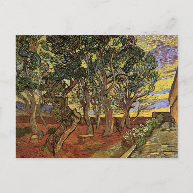Garden of Saint-Paul Hospital by Vincent van Gogh Postcard (Front)