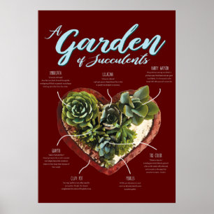 Garden Of Succulents Poster