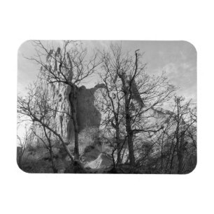 Garden of the Gods Colorado Park Photo Magnet