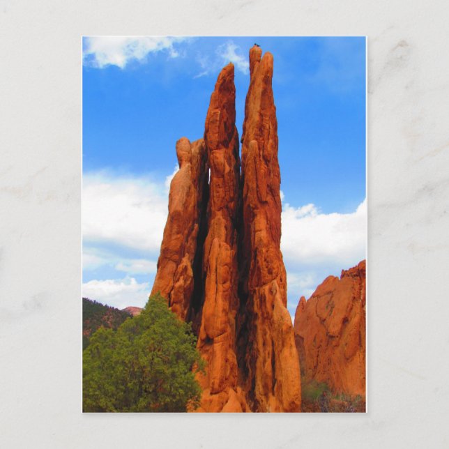 Garden of the Gods Postcard (Front)