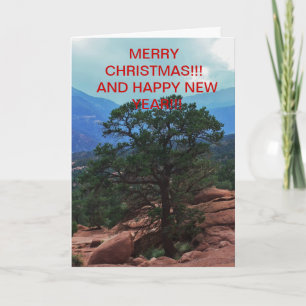 Garden of the God's Tree  Christmas CARD