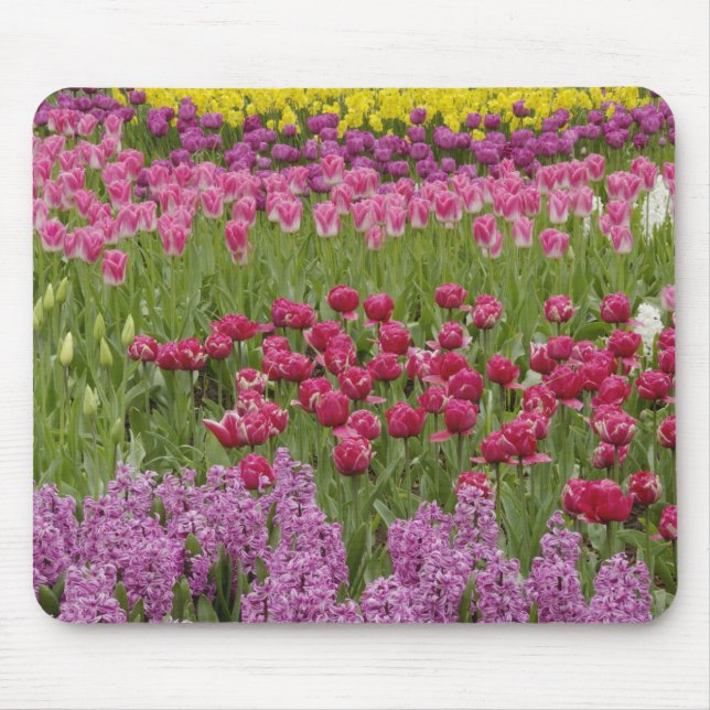Garden of tulips, daffodils, and hyacinth mouse mat (Front)