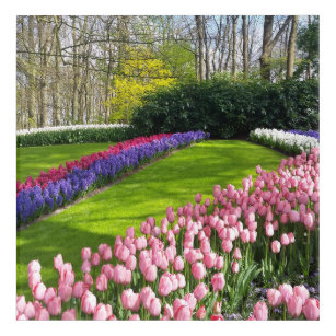 Garden of tulips  wood wall  acrylic print