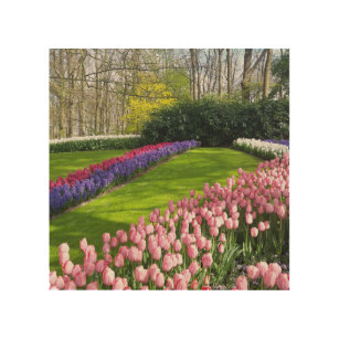 Garden of tulips  wood wall art
