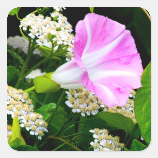 Garden Party Floral Stickers (Front)