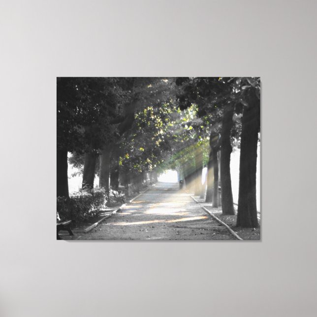 Garden Path Canvas Print (Front)