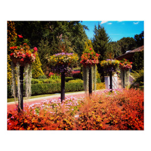 Garden Path Poster