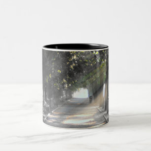 garden path, rome Two-Tone coffee mug