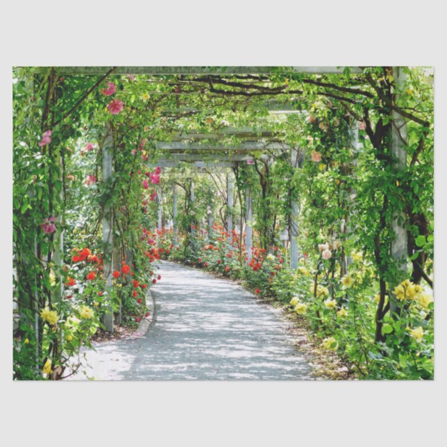 garden path tissue paper (Front)