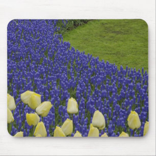 Garden pattern of Grape Hyacinth flowers and 2 Mouse Mat